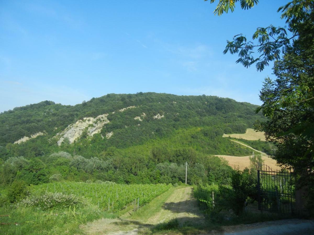 La Colombarola Agriturismo Farneto Exterior foto